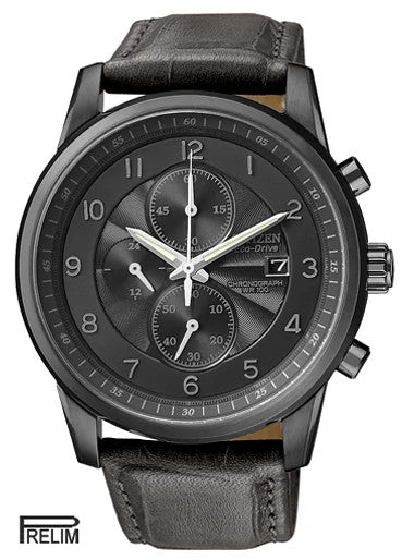 CA0335-12E Citizen Watch