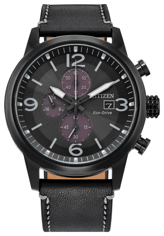 CA0745-29E Citizen Watch