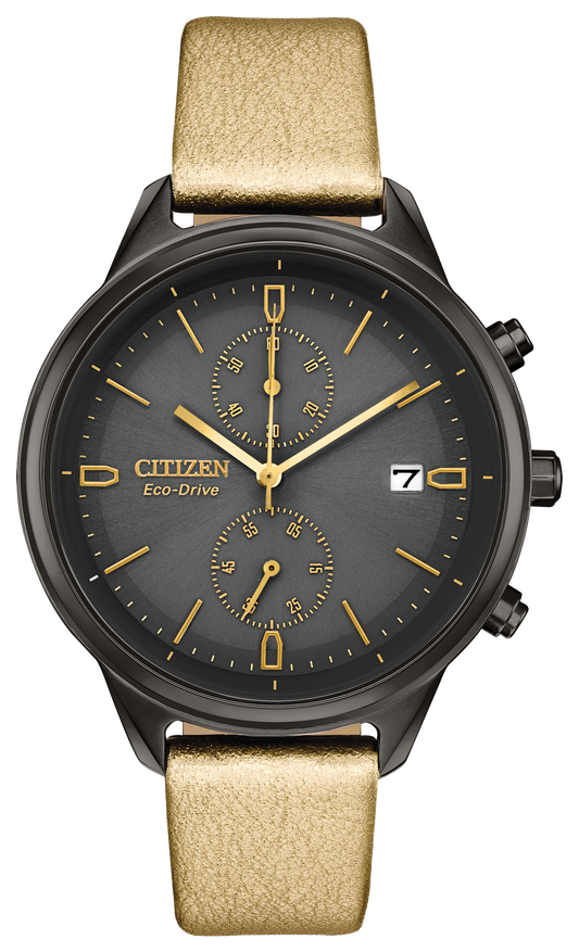 FB2007-04H Citizen Watch