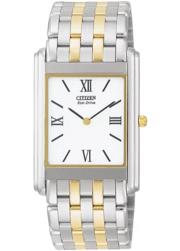 AR1004-51A Citizen Watch