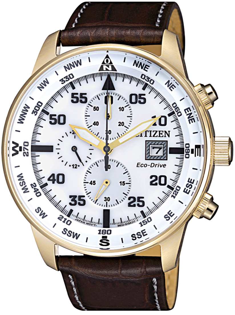 CA0693-04A Citizen Watch