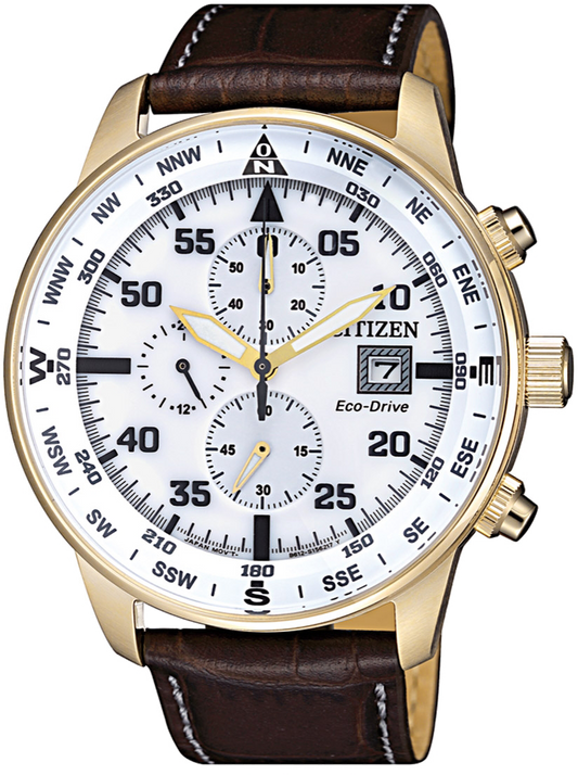 CA0693-04A Citizen Watch