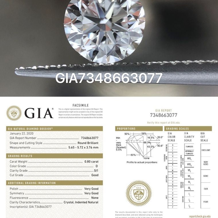 7348663077