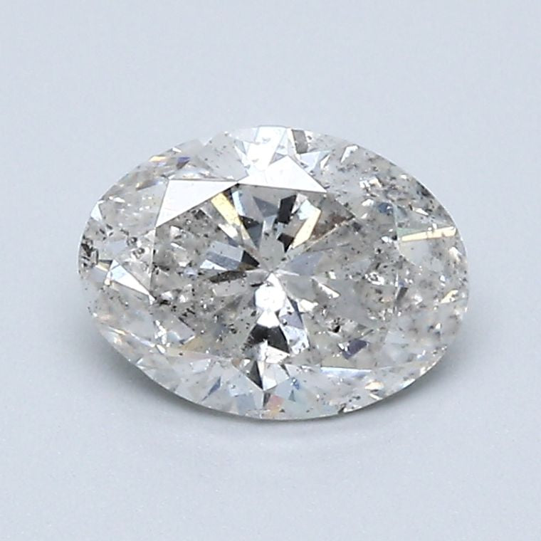 19798
