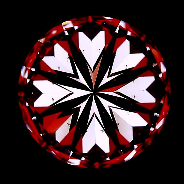 R6599