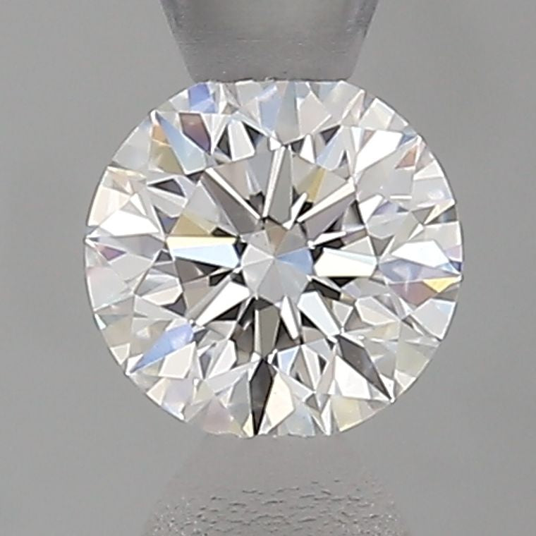CS469204