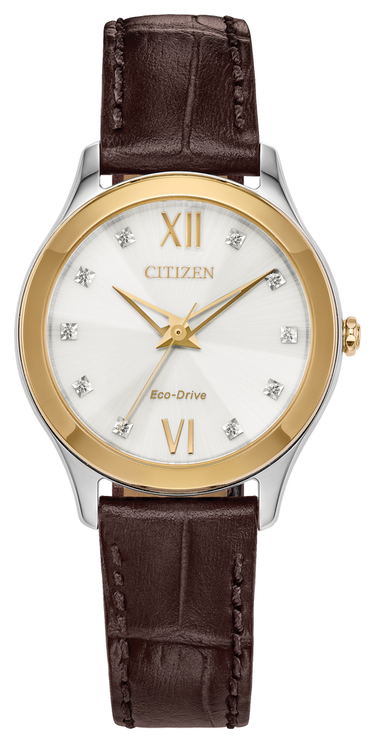 EM1018-24A Citizen Watch