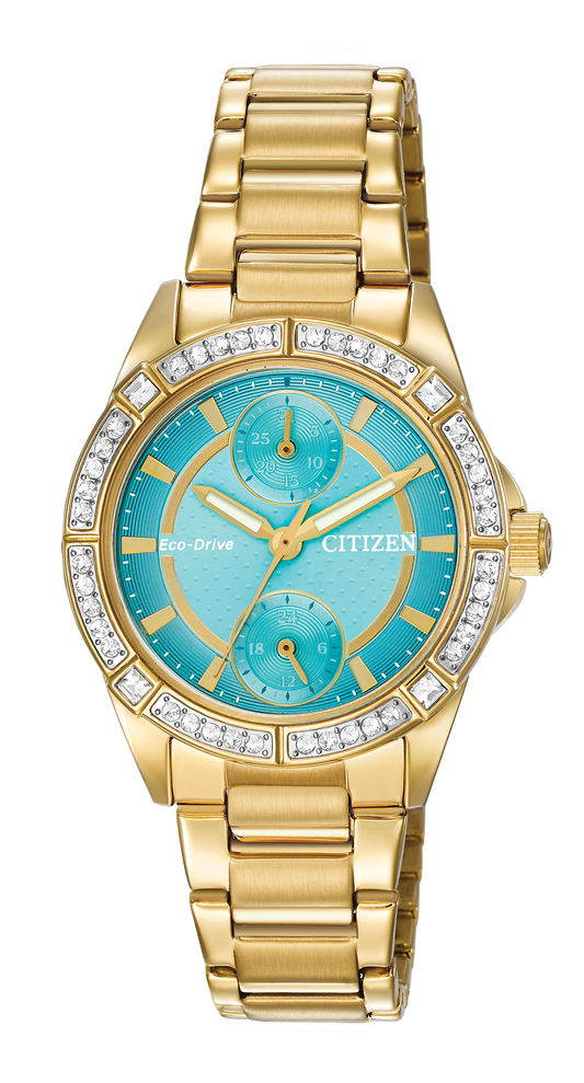 FD3002-51X Citizen Watch