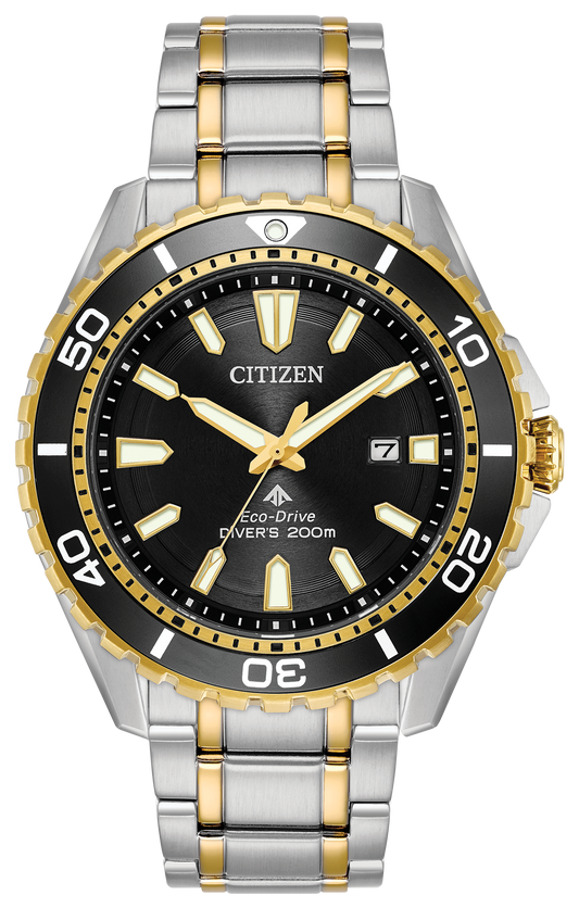 BN0194-57E Citizen Watch