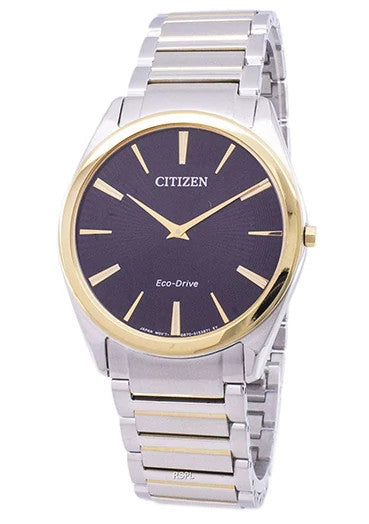 AR3078-88E Citizen Watch
