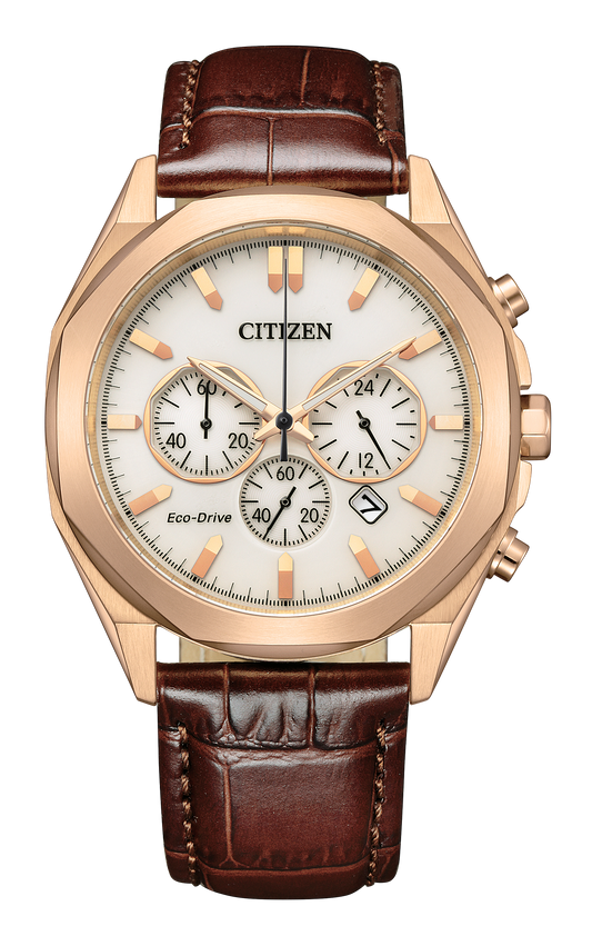 CA4593-15A Citizen Watch