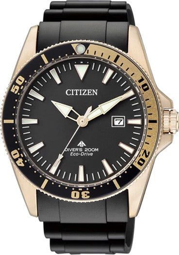 BN0104-09E Citizen Watch