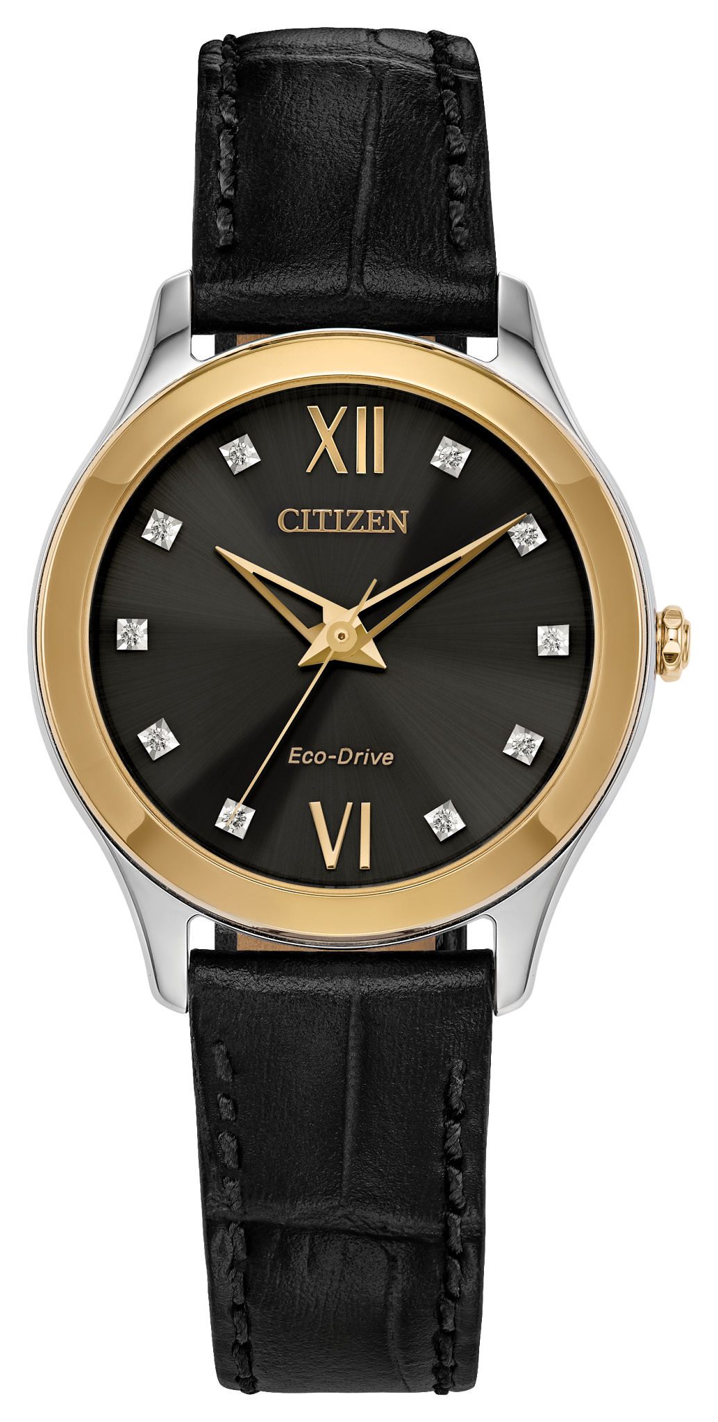 EM1018-08E Citizen Watch