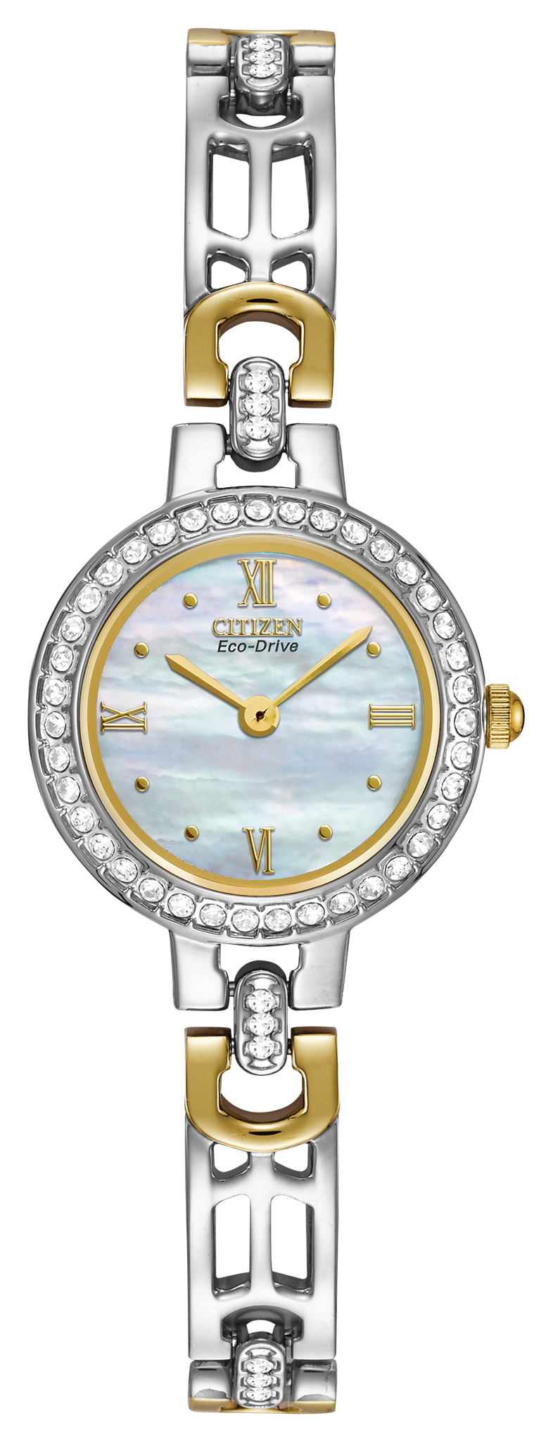 EW8464-52D Citizen Watch