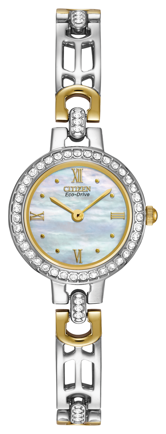 EW8464-52D Citizen Watch