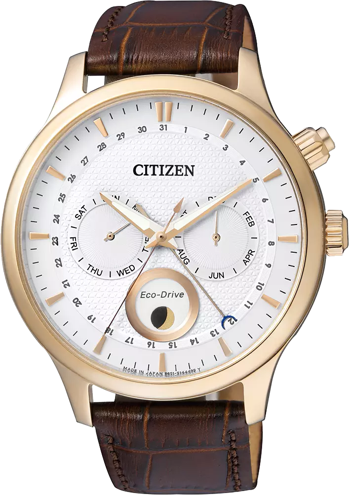 AP1052-00A Citizen Watch