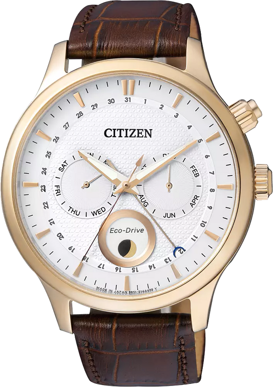 AP1052-00A Citizen Watch