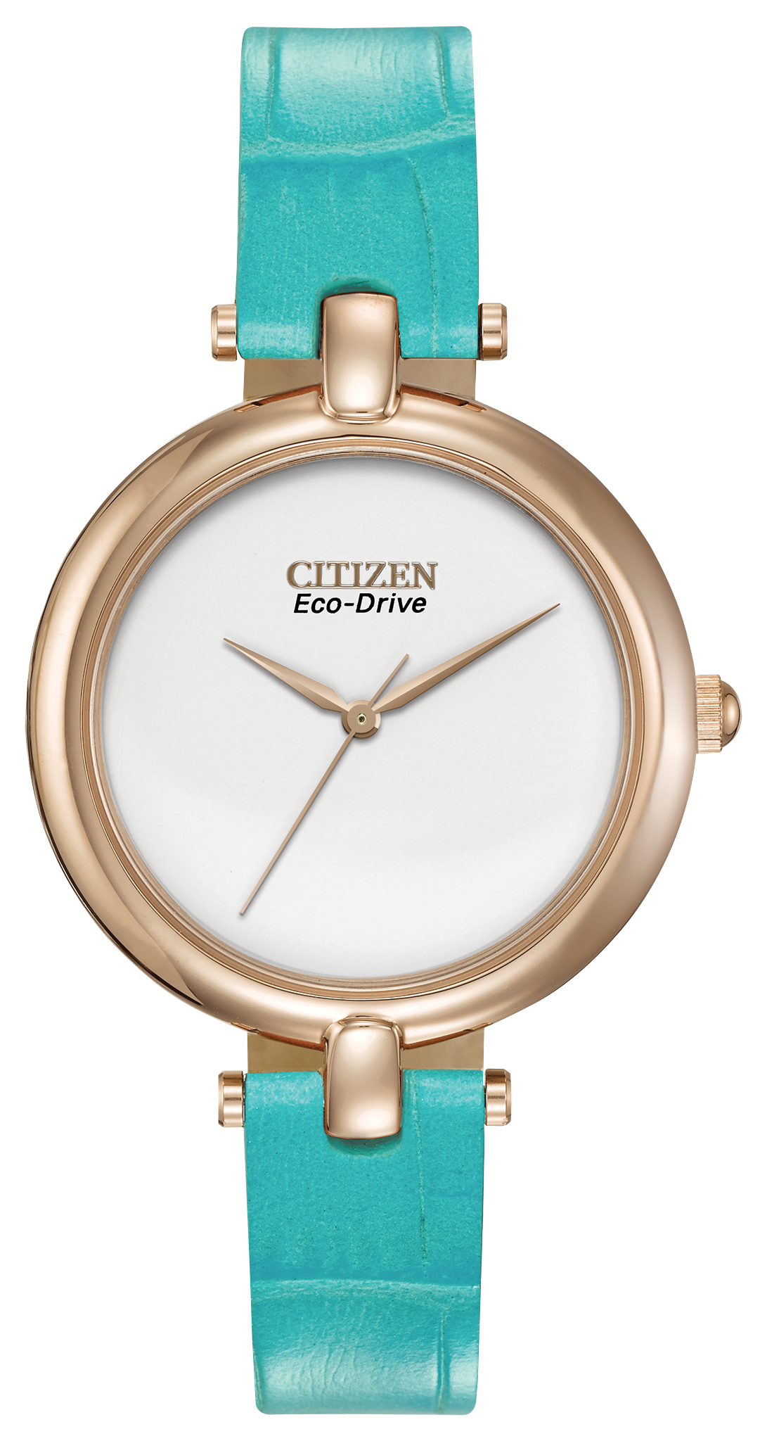 EM0253-20A Citizen Watch