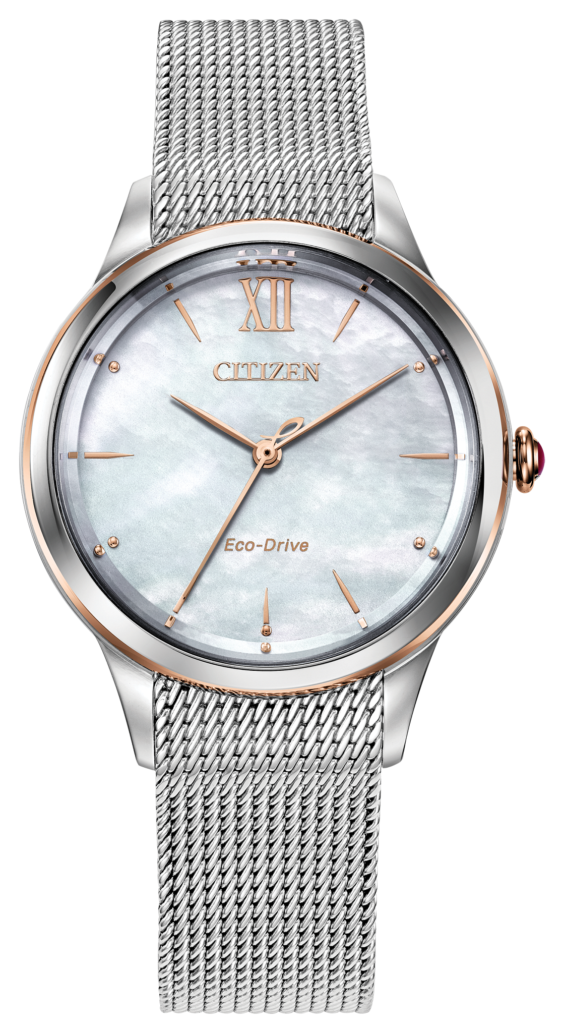 EM0816-53Y Citizen Watch