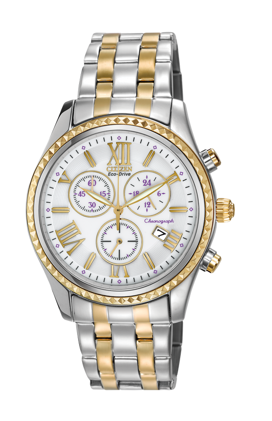 FB1364-53A Citizen Watch