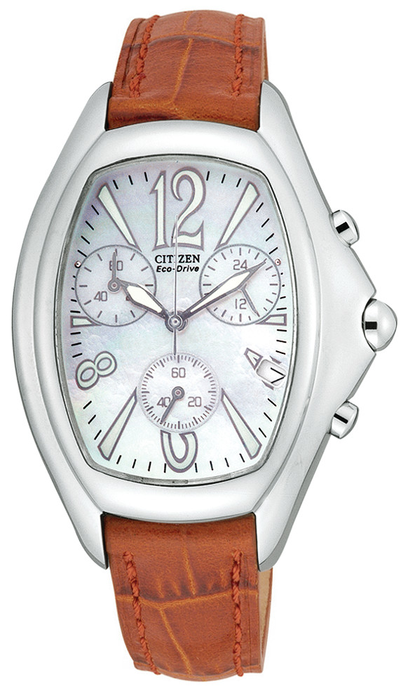 FA2001-15D Citizen Watch