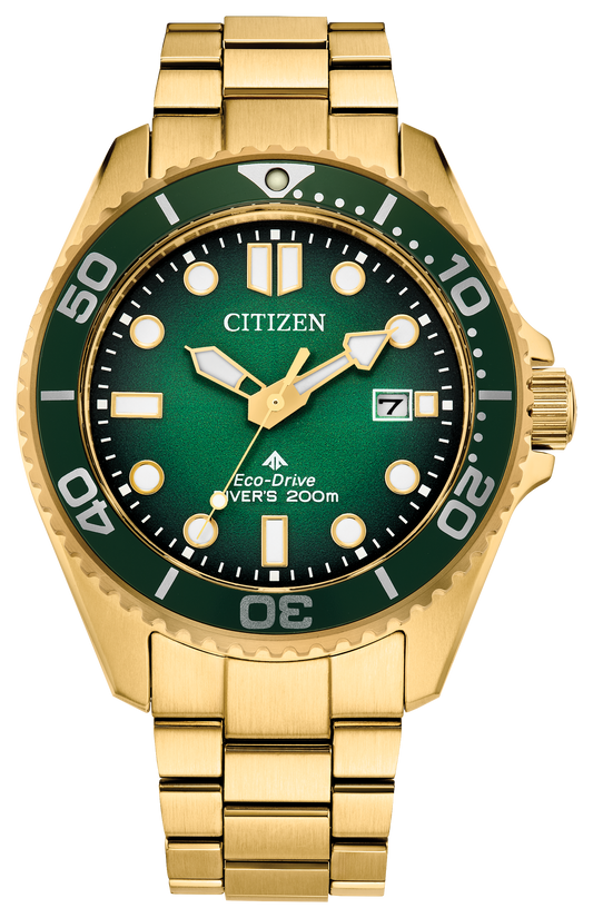 BN0262-59W Citizen Watch