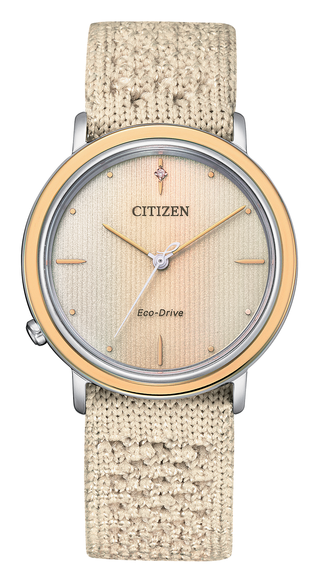 EM1006-07A Citizen Watch