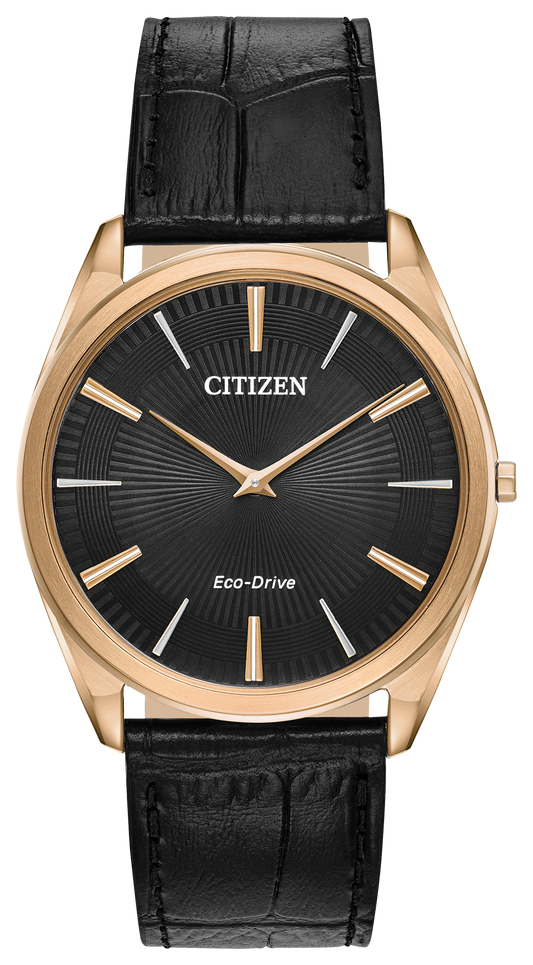 AR3073-06E Citizen Watch