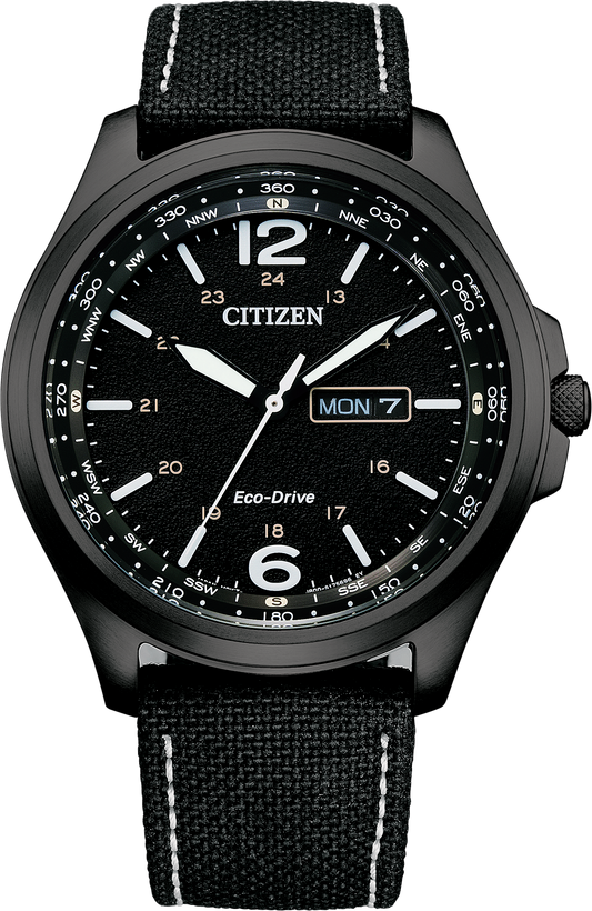AW0115-03E Citizen Watch