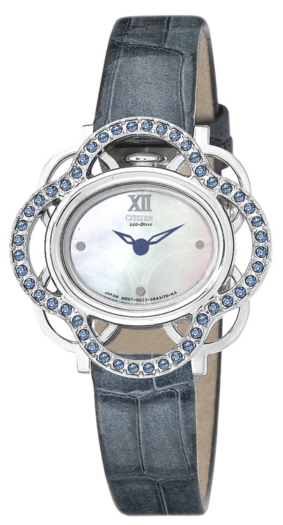 EW8971-11D Citizen Watch