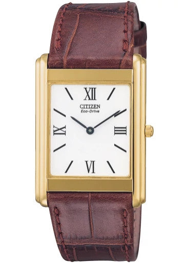 AR1002-13A Citizen Watch