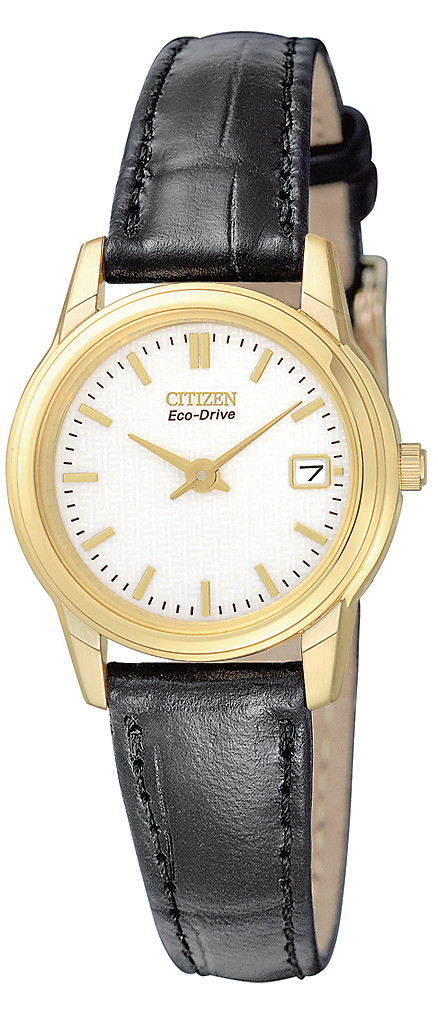 GA1002-02A Citizen Watch