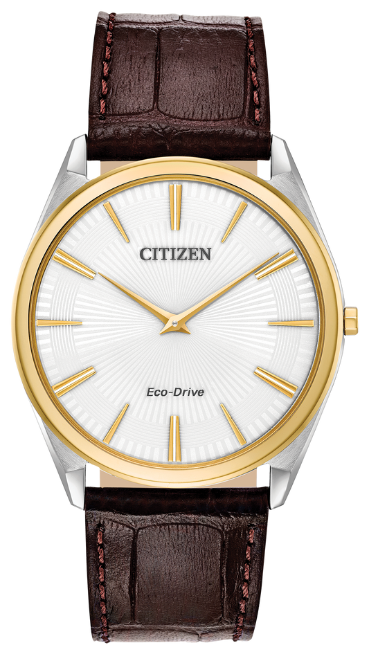 AR3074-03A Citizen Watch