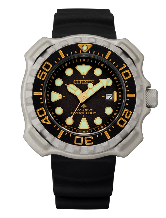 BN0220-16E Citizen Watch