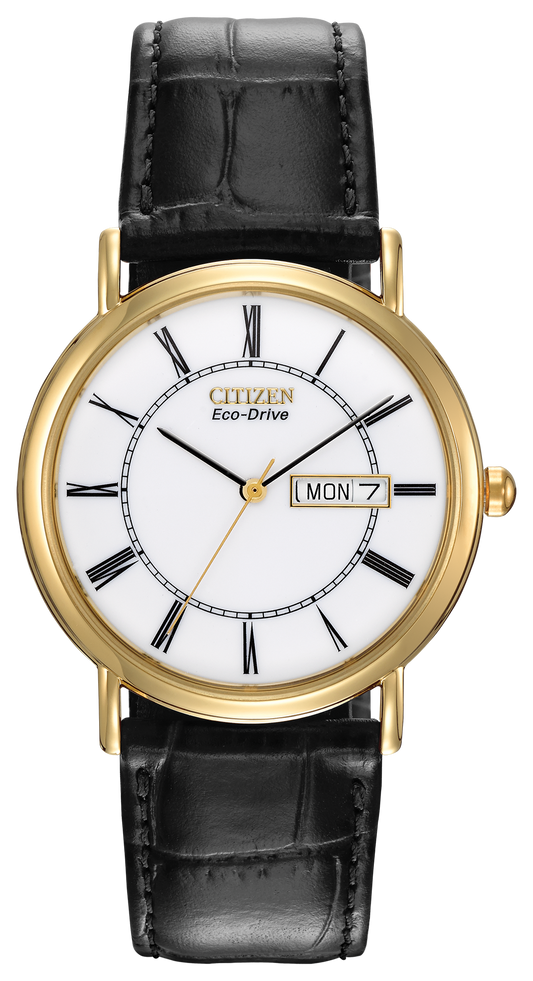 BM8242-16A Citizen Watch