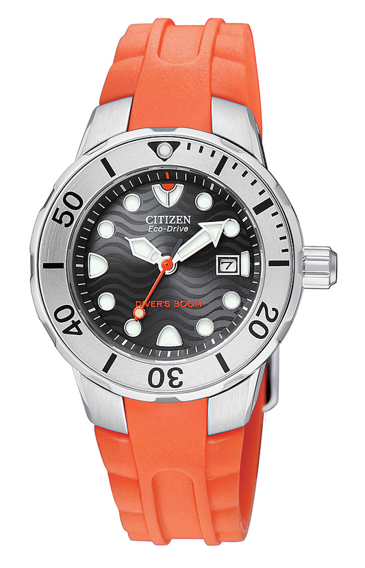 EP6011-01E Citizen Watch
