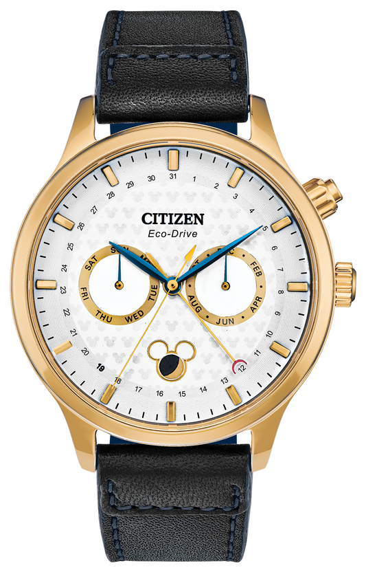 AP1058-11W Citizen Watch