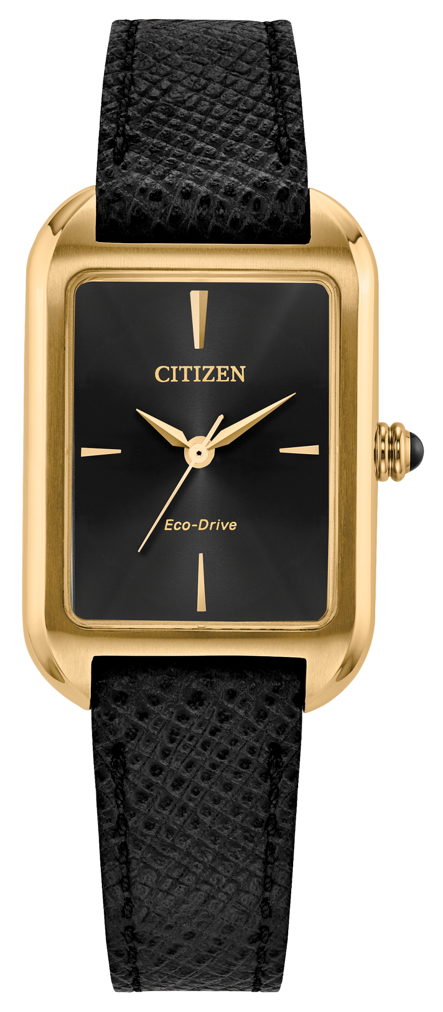 EM1192-01E Citizen Watch
