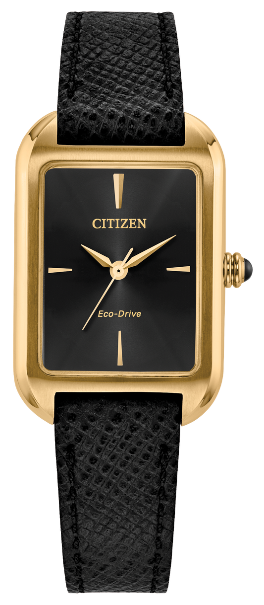 EM1192-01E Citizen Watch