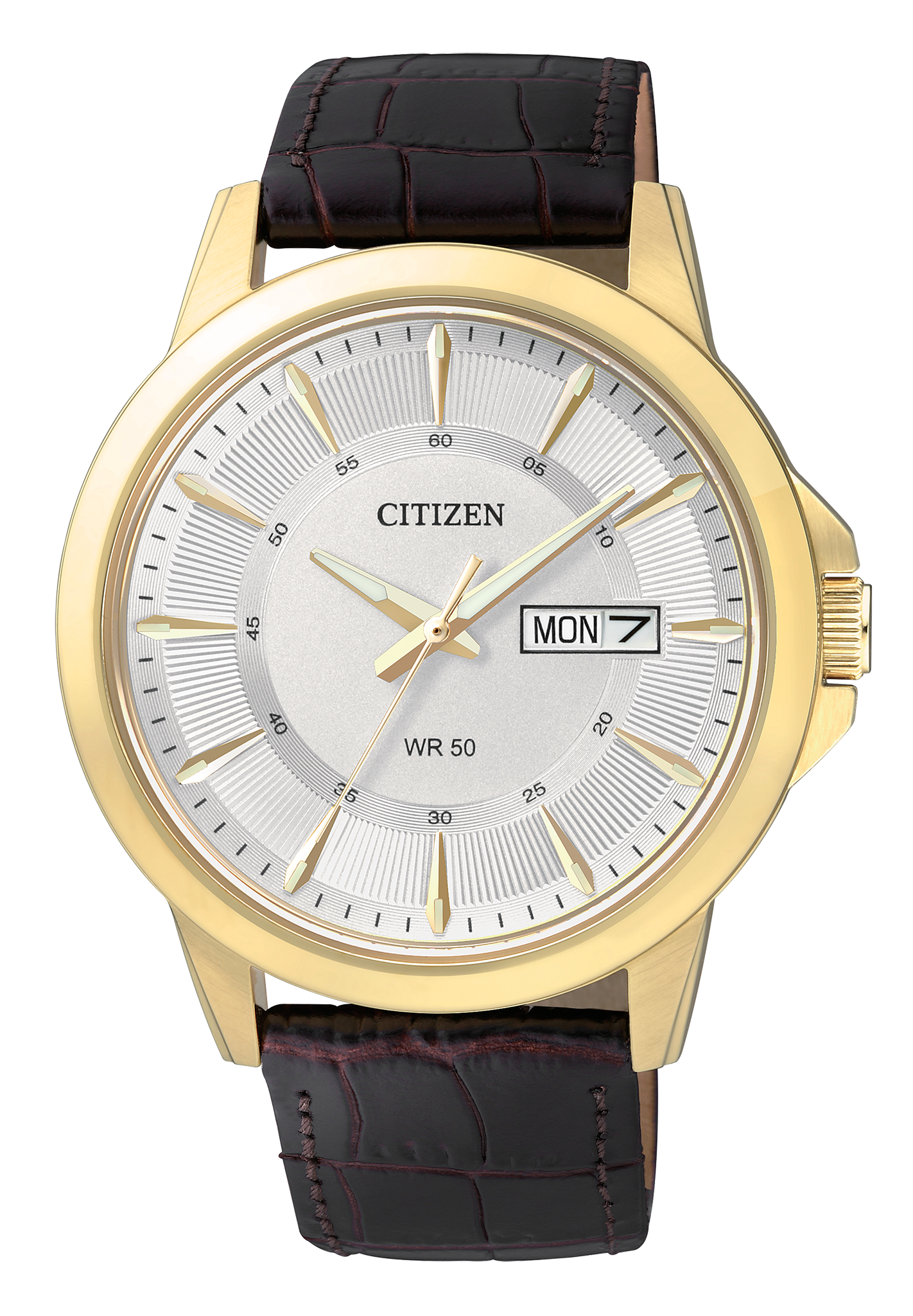 BF2018-01A Citizen Watch