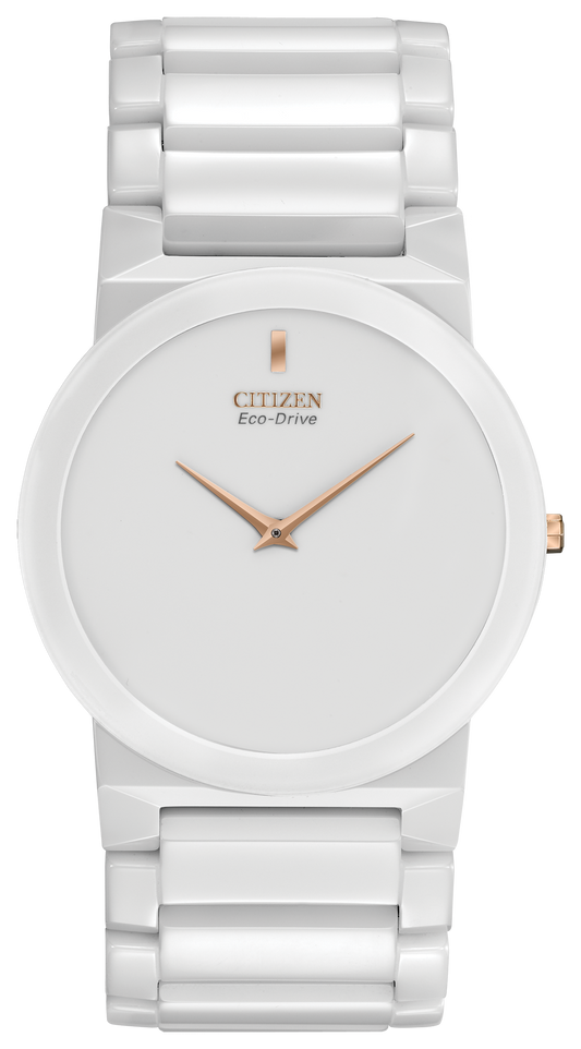 AR3050-52B Citizen Watch