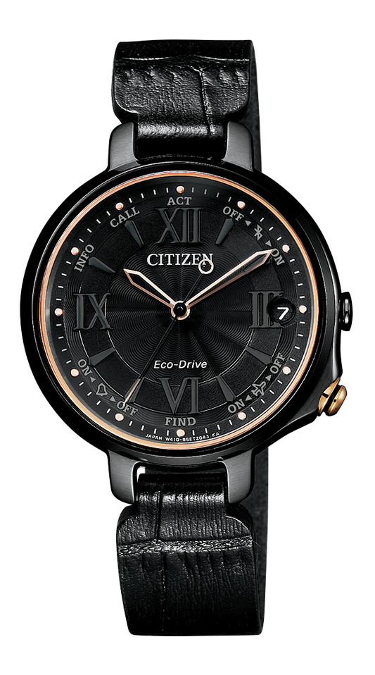EE4055-17E Citizen Watch