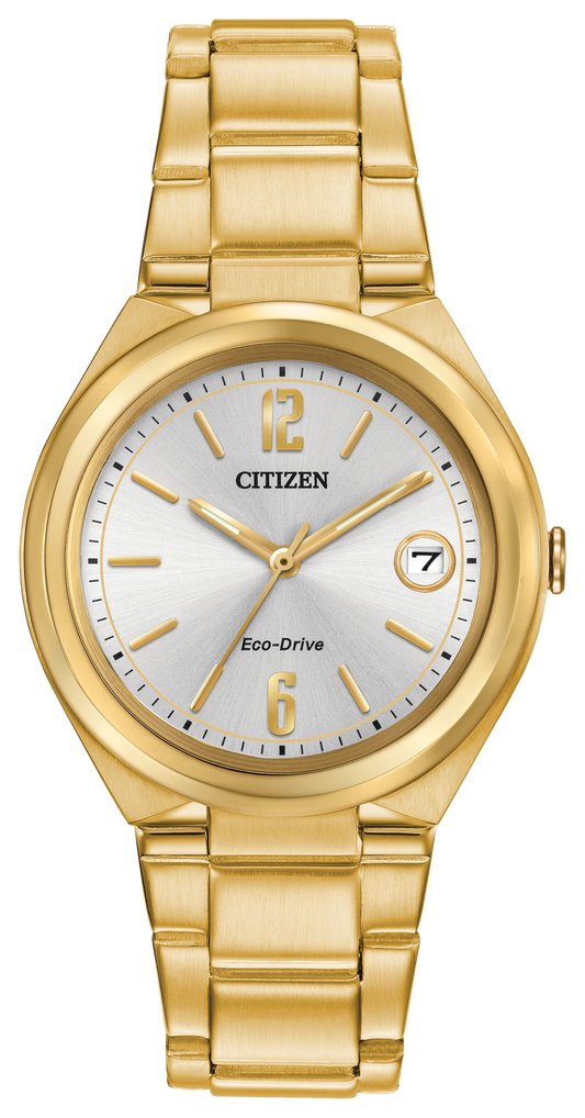 FE6022-85A Citizen Watch
