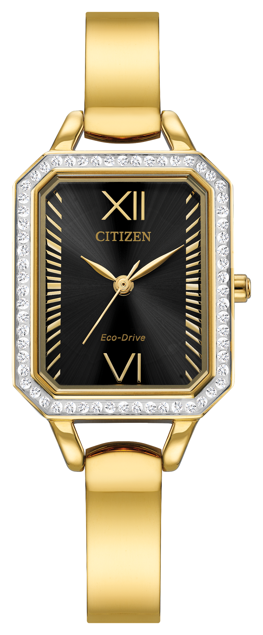 EM0982-54E Citizen Watch