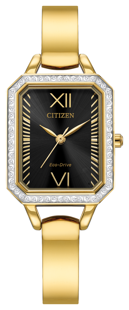 EM0982-54E Citizen Watch