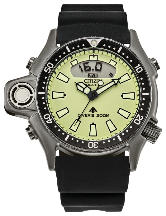 JP2007-09W Citizen Watch