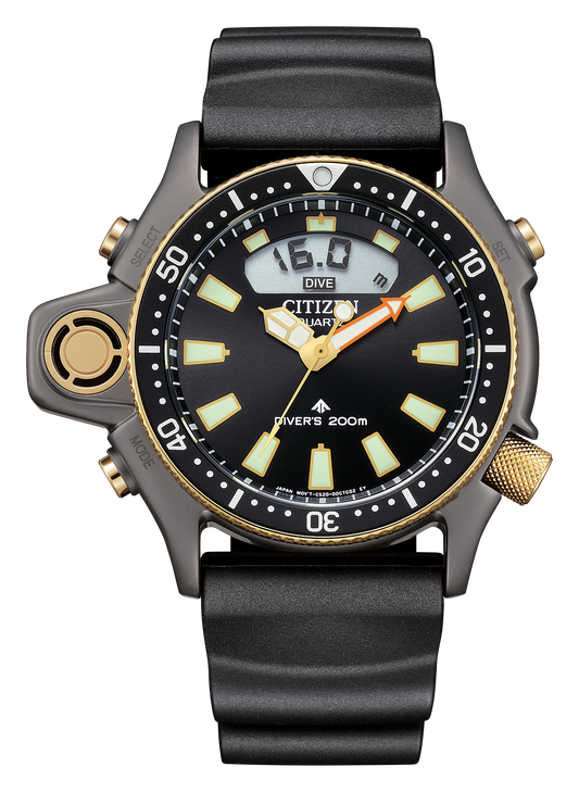 JP2008-06E Citizen Watch