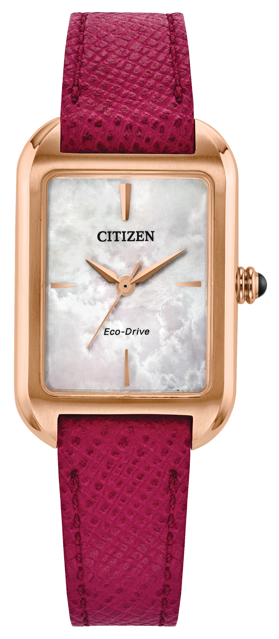 EM1193-08D Citizen Watch
