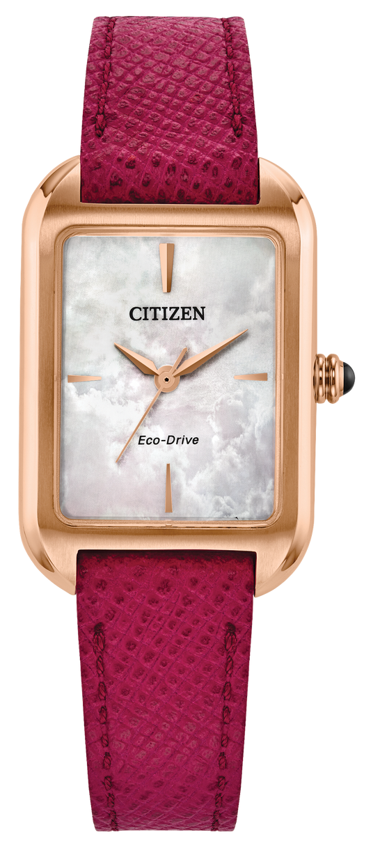 EM1193-08D Citizen Watch