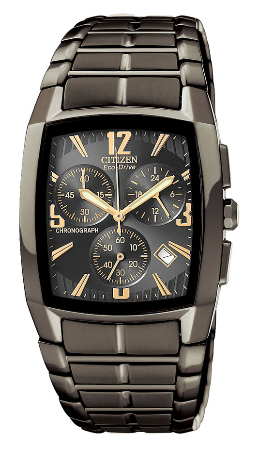 AT2007-55E Citizen Watch